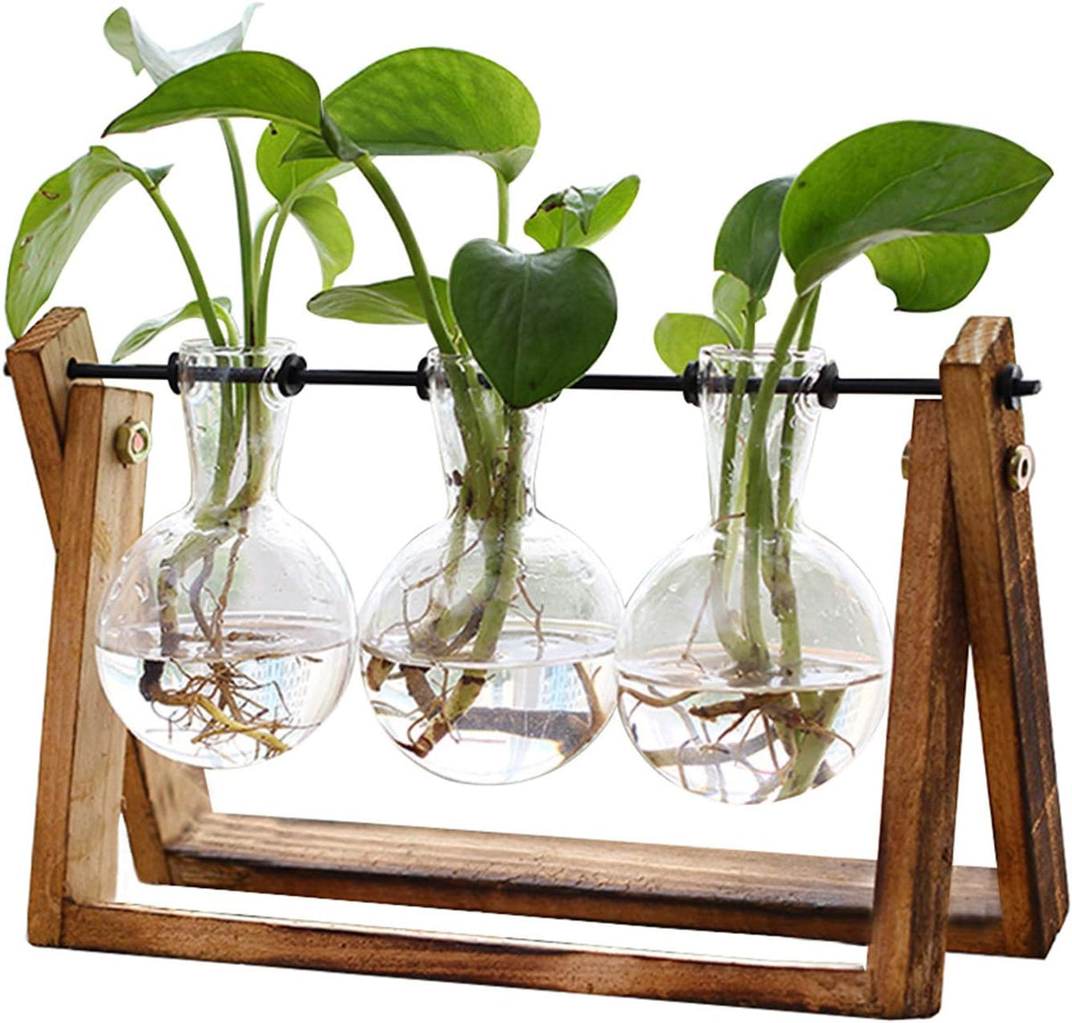 Three Bulb Plant Propagation Station