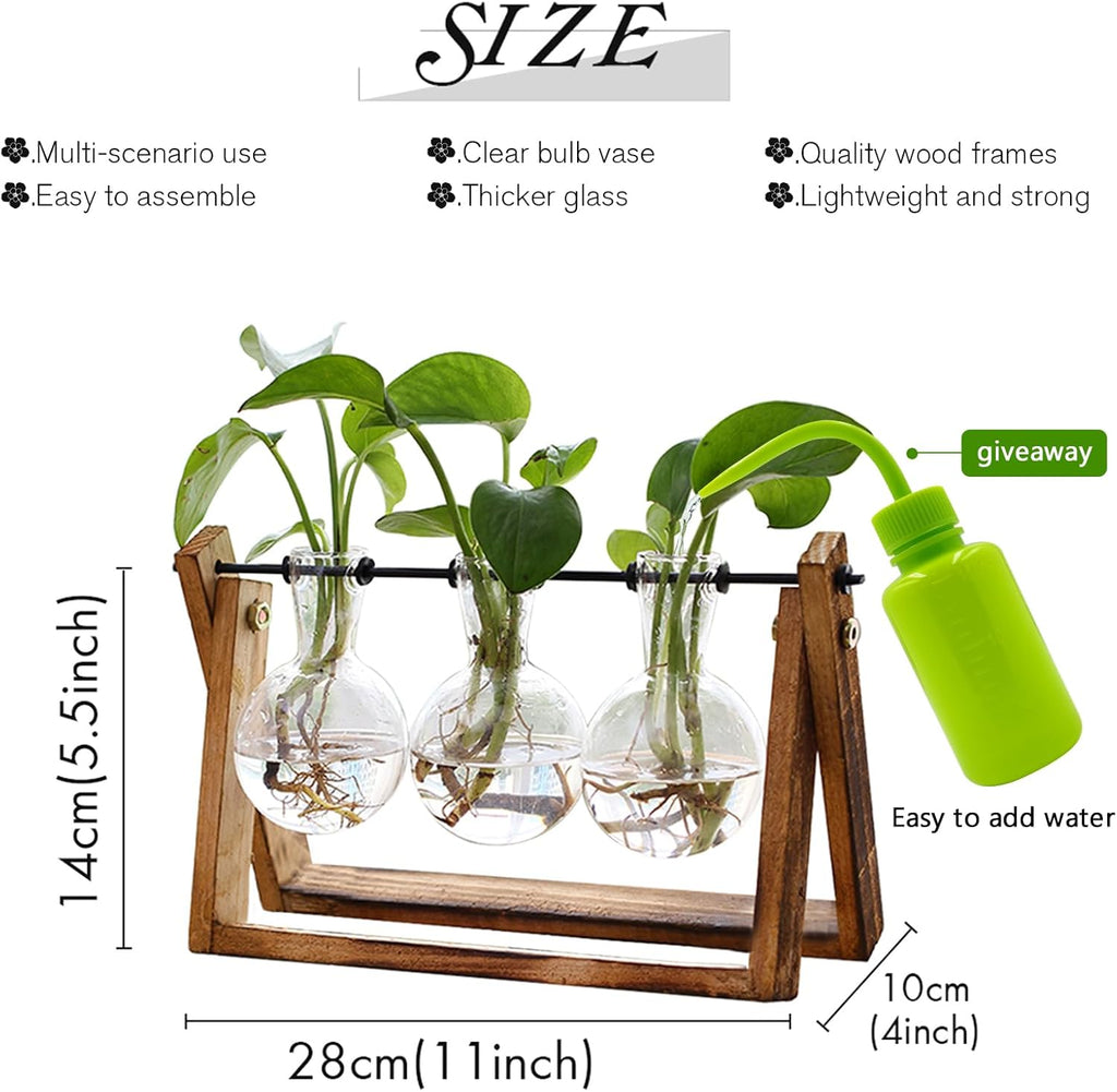 Three Bulb Plant Propagation Station
